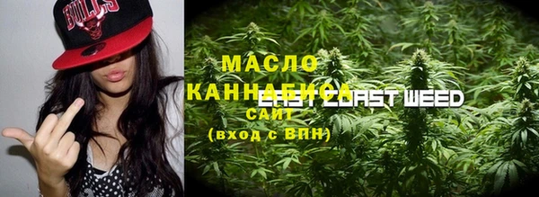гидра Михайловка