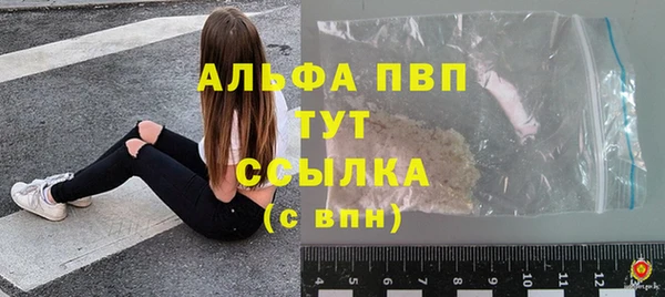 гидра Михайловка