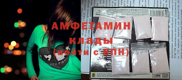 гидра Михайловка