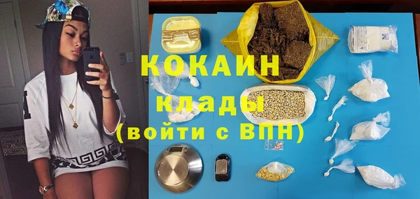 гидра Михайловка