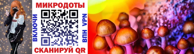 Галлюциногенные грибы Psilocybe закладка МЕГА tor Новопавловск